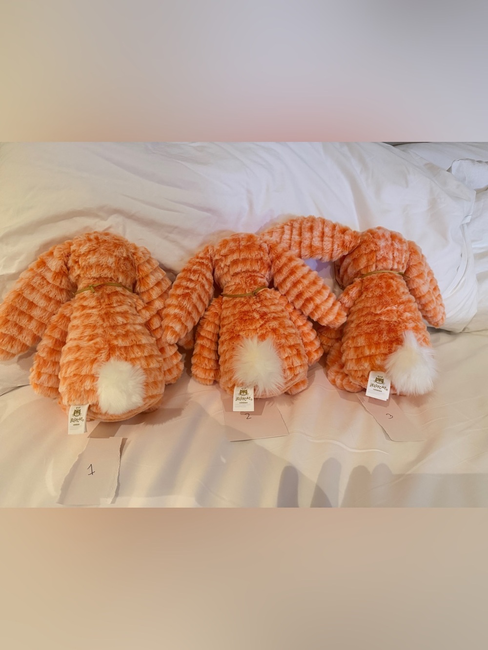 Jellycat Fizzleskip Bunny - Independent EU and UK Stores Only - Picture 9 of 9